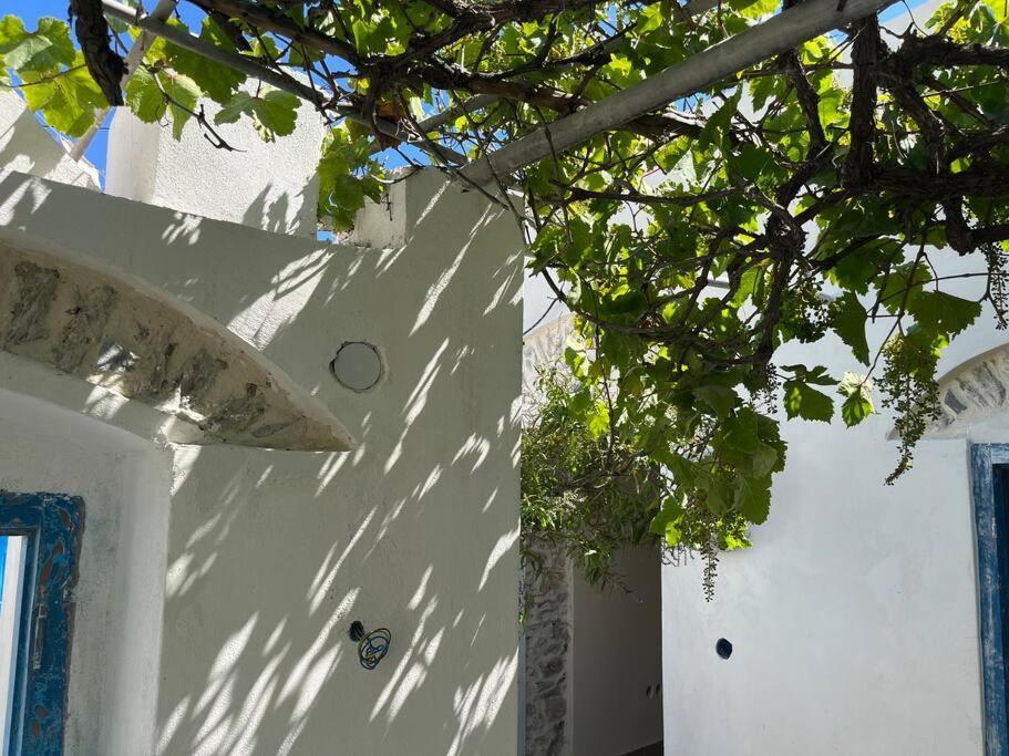 Dream House Little Villa - Amorgos Exterior foto